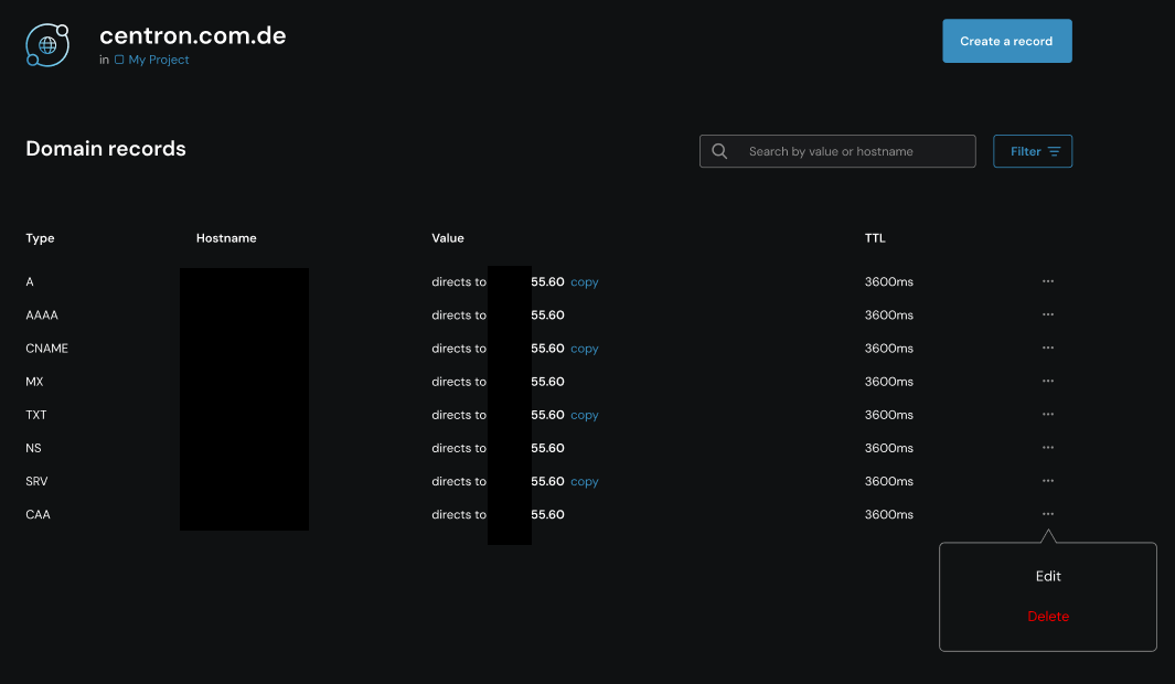 Auswahlbutton DNS-Eintrag erstellen